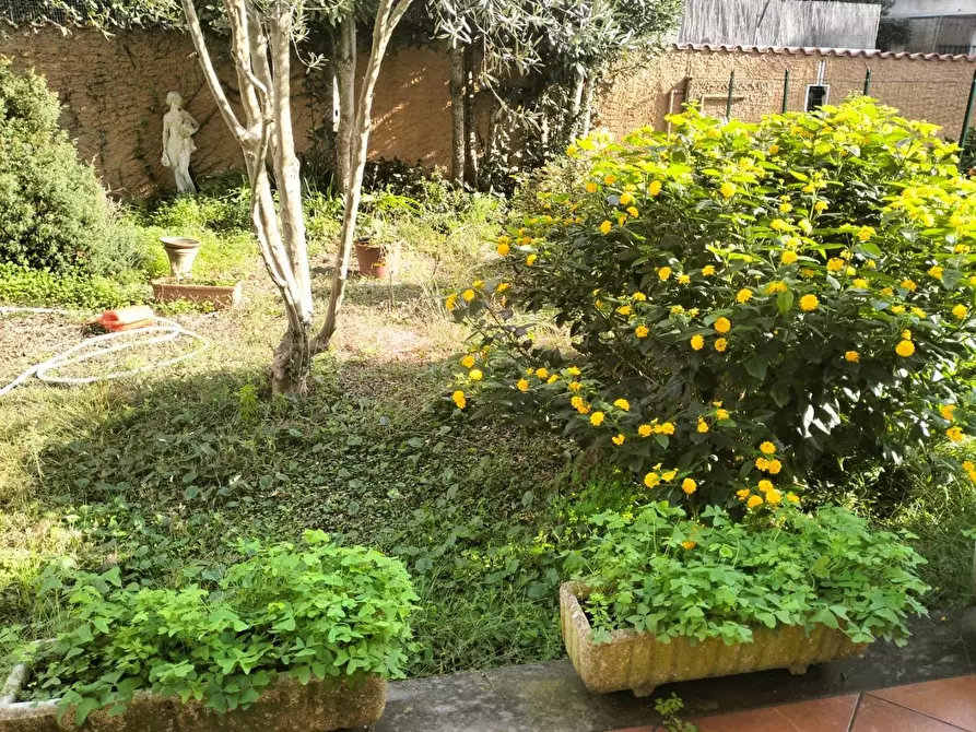 Immagine 31 di Villetta a schiera in vendita  a Livorno