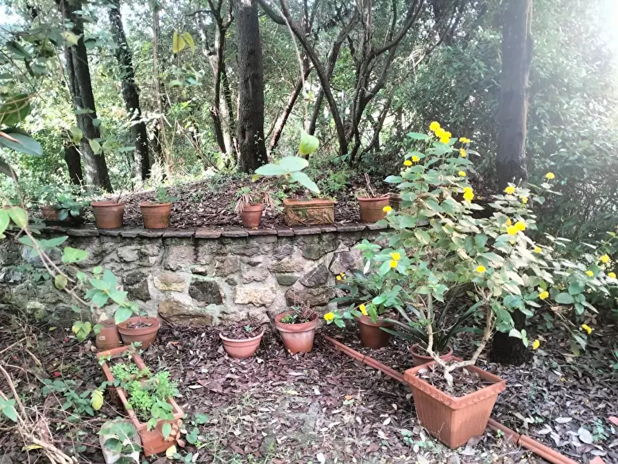 Immagine 21 di Villetta a schiera in vendita  a Livorno