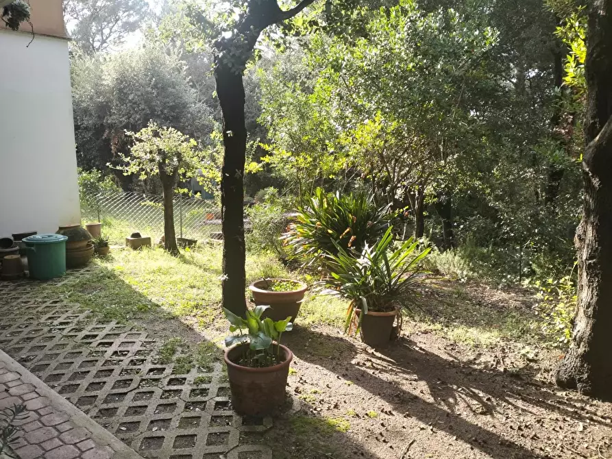 Immagine 18 di Villetta a schiera in vendita  a Livorno