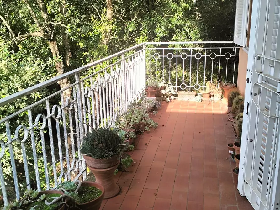 Immagine 45 di Villetta a schiera in vendita  a Livorno