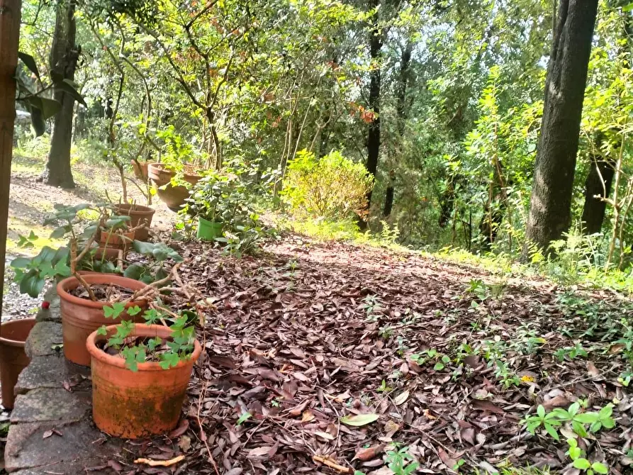 Immagine 22 di Villetta a schiera in vendita  a Livorno