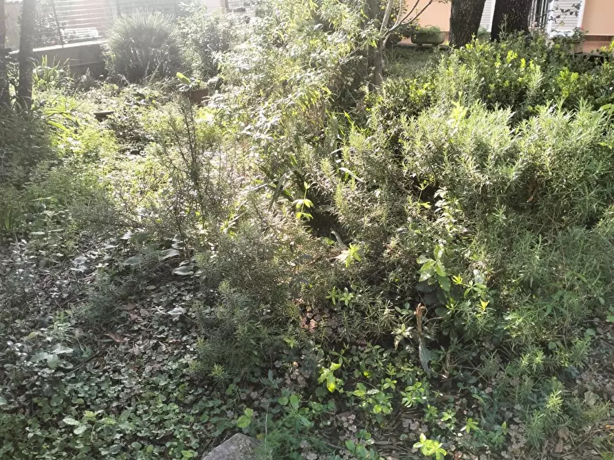 Immagine 13 di Villetta a schiera in vendita  a Livorno