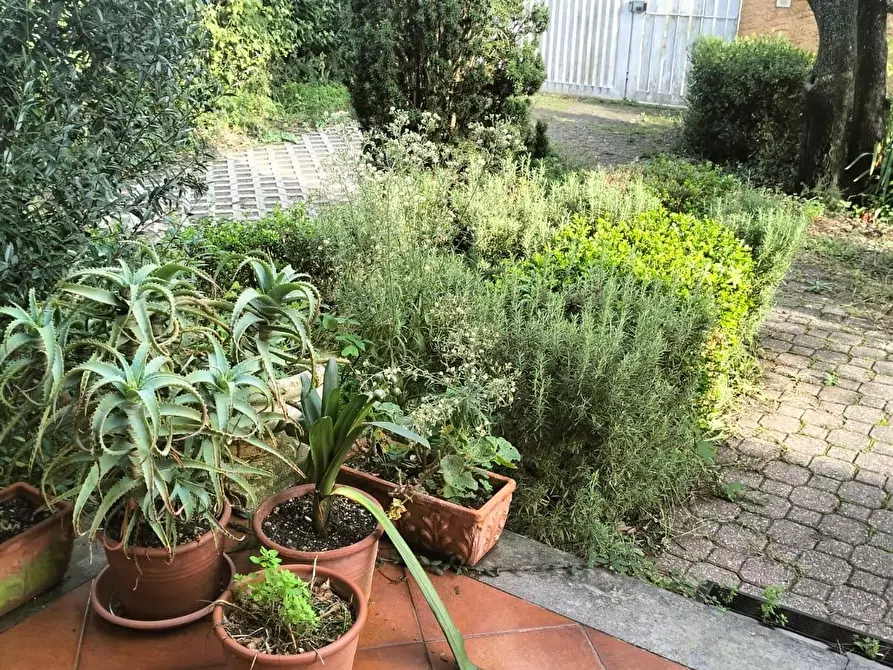 Immagine 11 di Villetta a schiera in vendita  a Livorno