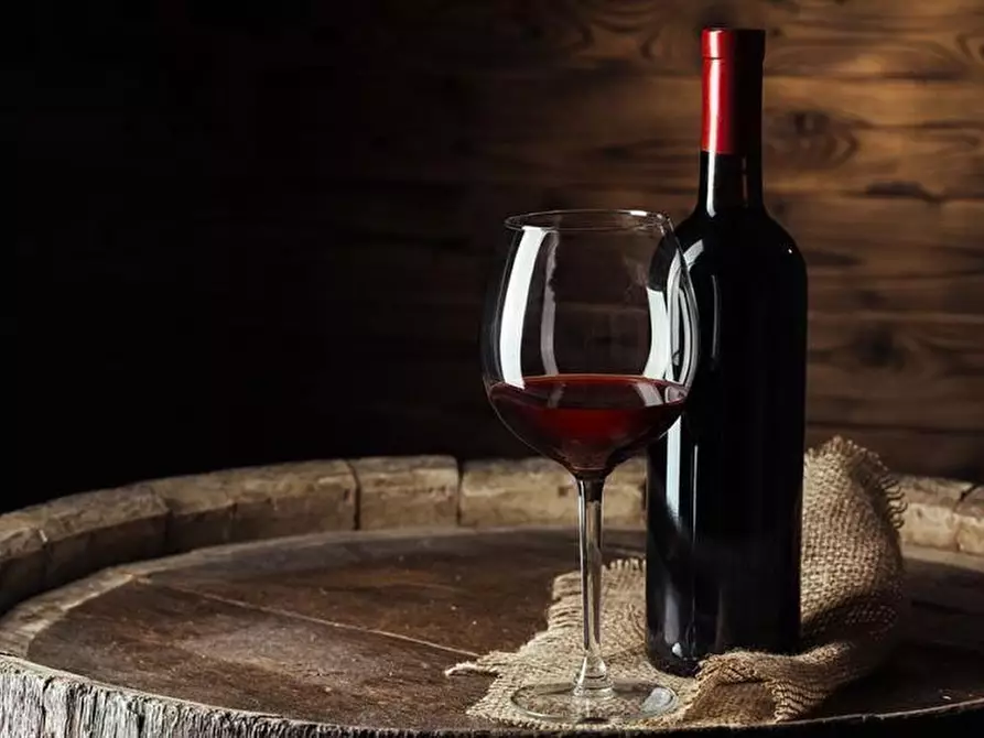 Immagine 8 di Bar / Ristorante in vendita  a Calcinaia