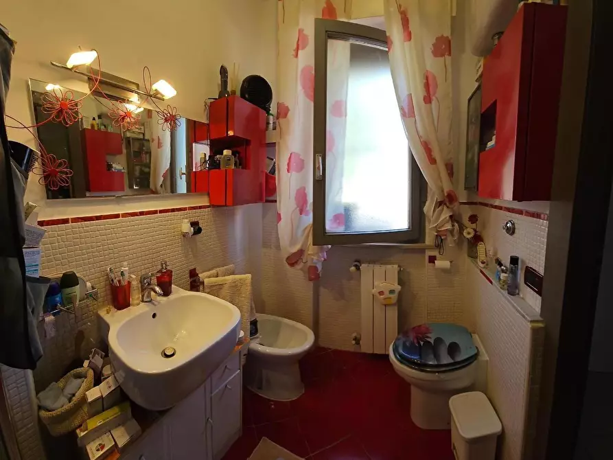 Immagine 9 di Terratetto in vendita  a Collesalvetti