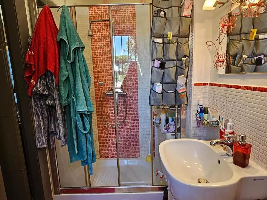 Immagine 12 di Terratetto in vendita  a Collesalvetti