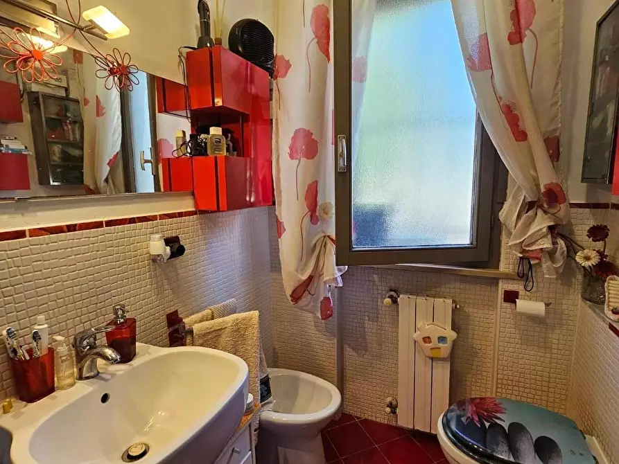 Immagine 8 di Terratetto in vendita  a Collesalvetti