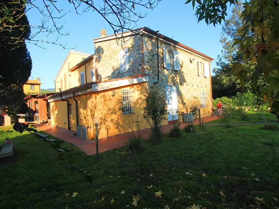 Immagine 3 di Casa colonica in vendita  a Vinci