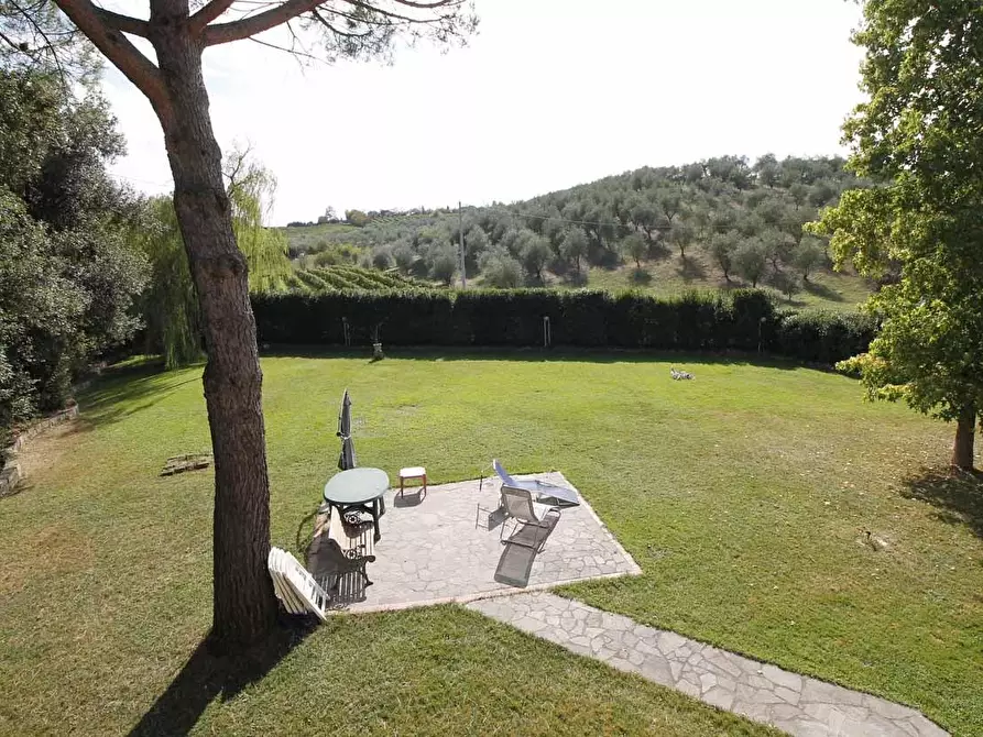 Immagine 42 di Casa colonica in vendita  a Vinci