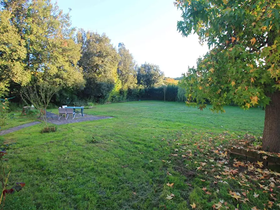 Immagine 51 di Casa colonica in vendita  a Vinci