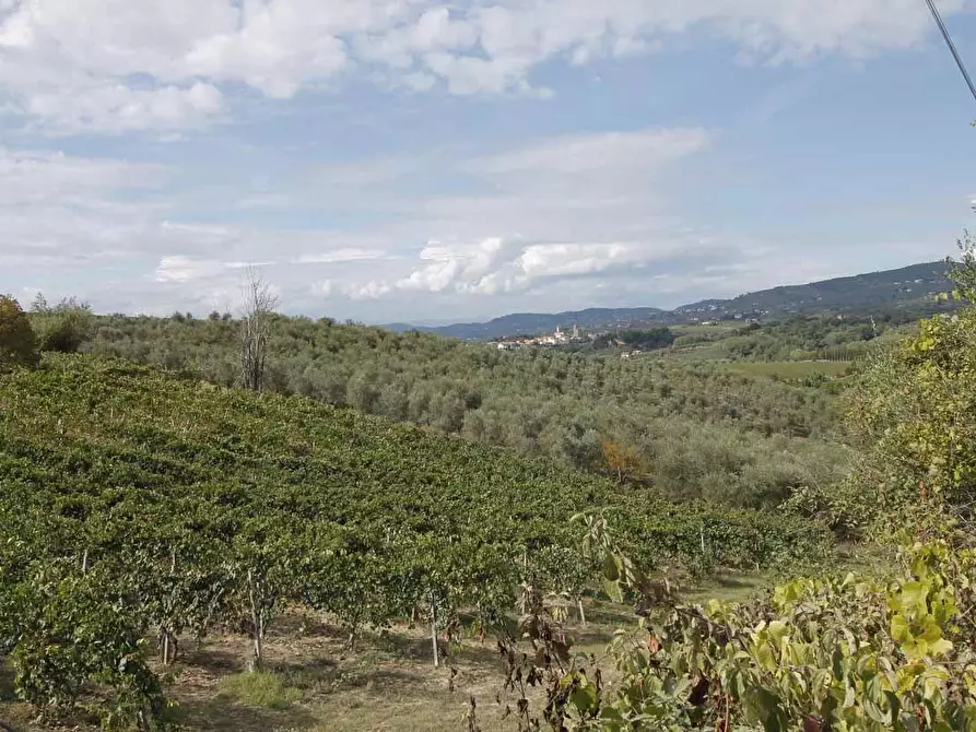Immagine 36 di Casa colonica in vendita  a Vinci