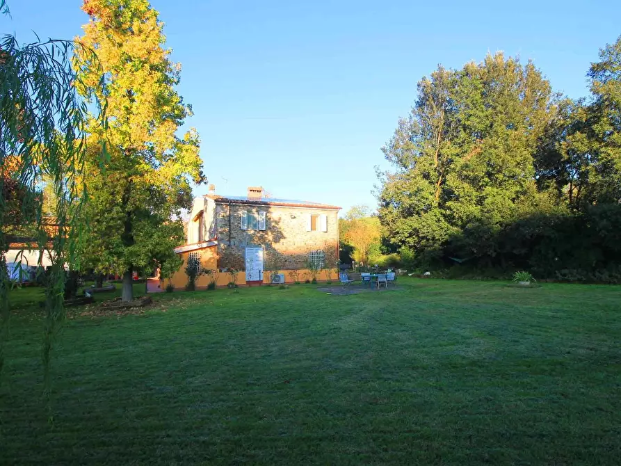 Immagine 54 di Casa colonica in vendita  a Vinci