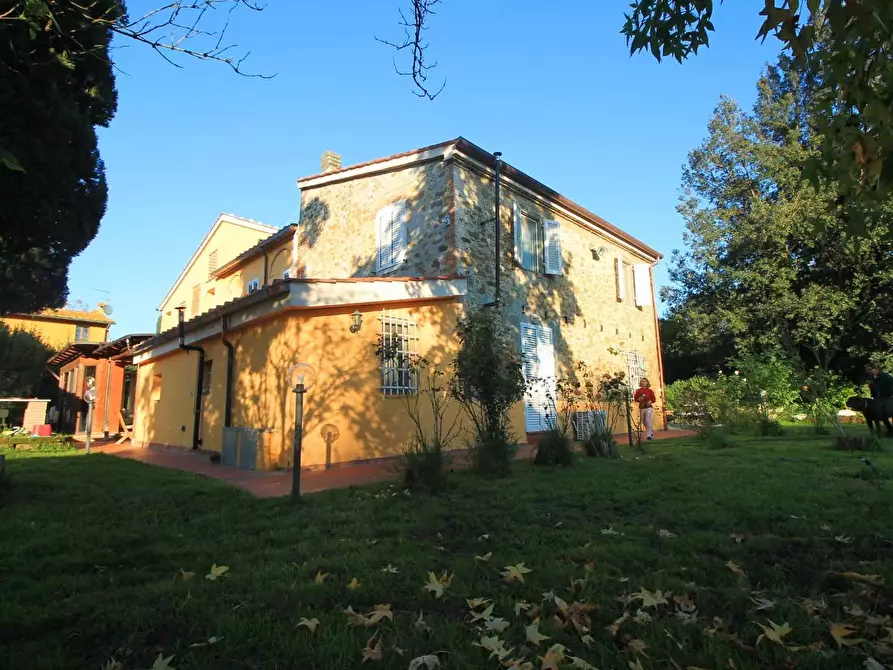 Immagine 49 di Casa colonica in vendita  a Vinci