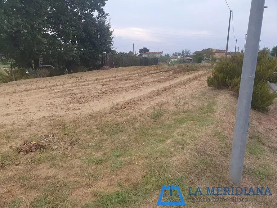 Immagine 3 di Terreno agricolo in vendita  a Larciano