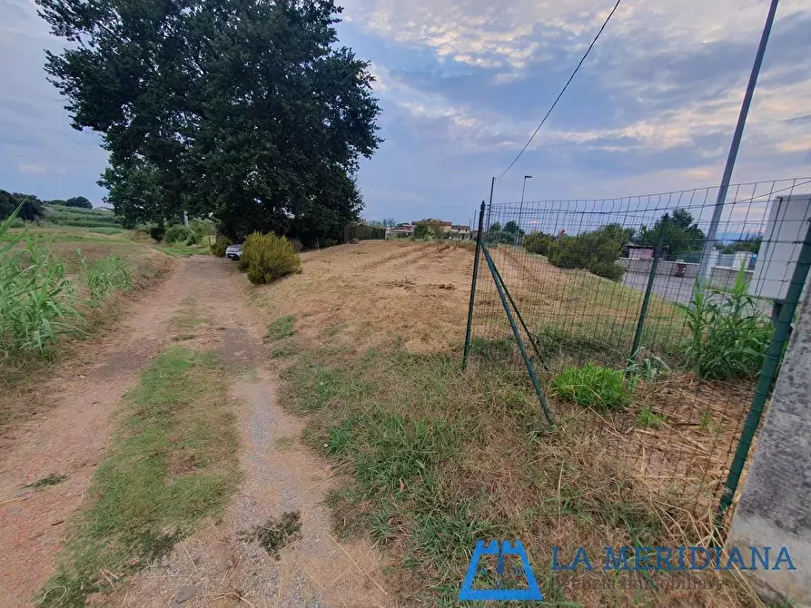 Immagine 4 di Terreno agricolo in vendita  a Larciano