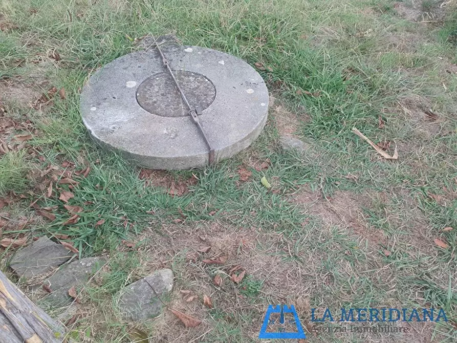 Immagine 2 di Terreno agricolo in vendita  a Larciano