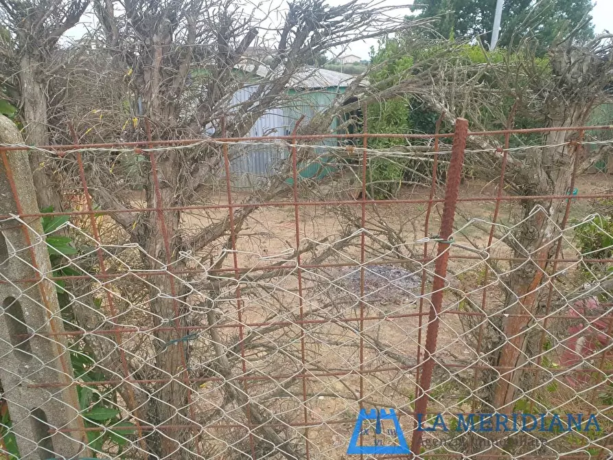 Immagine 8 di Terreno agricolo in vendita  a Larciano