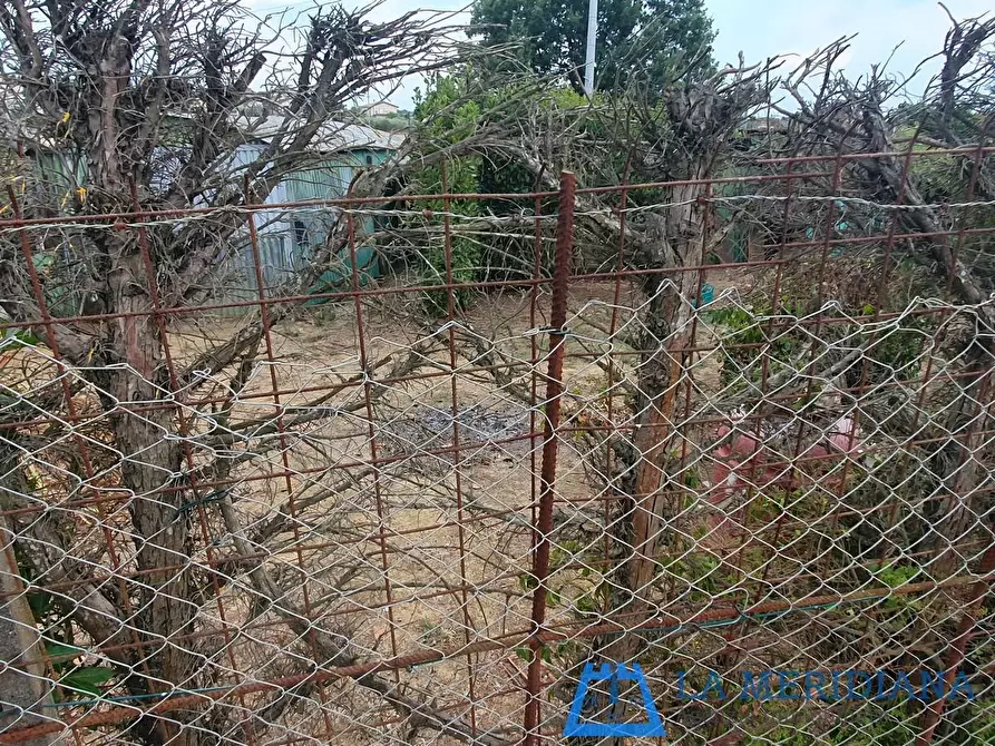 Immagine 7 di Terreno agricolo in vendita  a Larciano