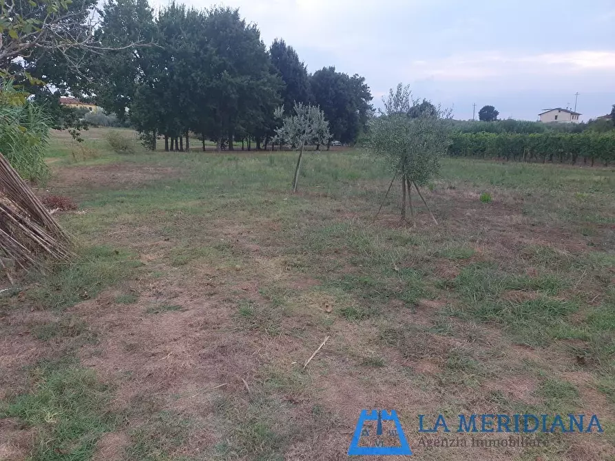 Immagine 1 di Terreno agricolo in vendita  a Larciano