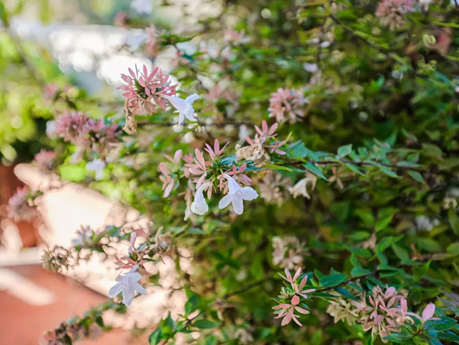 Immagine 36 di Mansarda in vendita  a Reggio Nell'emilia