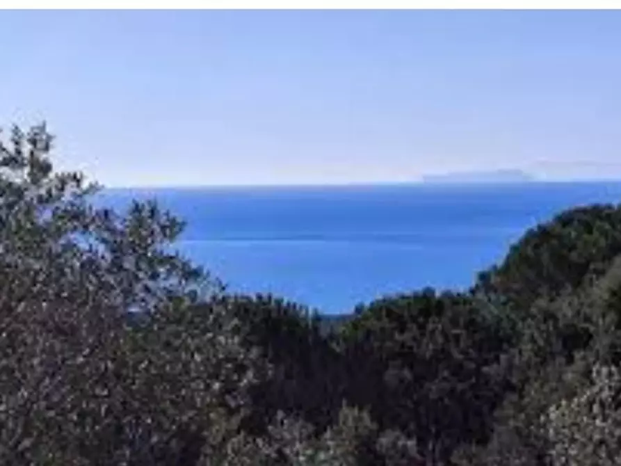 Immagine 2 di Villa in vendita  a Livorno