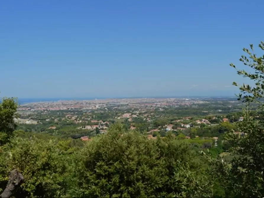 Immagine 1 di Villa in vendita  a Livorno