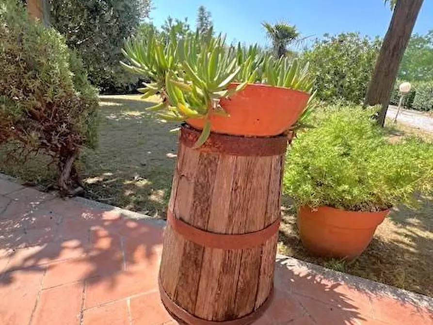 Immagine 24 di Rustico / casale in vendita  a Cascina