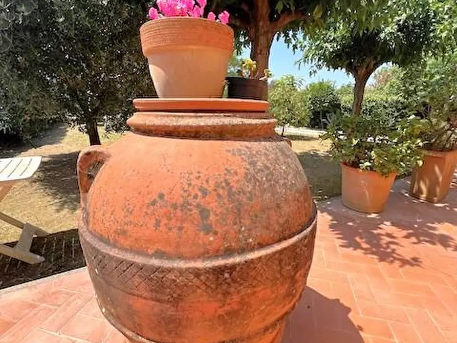 Immagine 23 di Rustico / casale in vendita  a Cascina