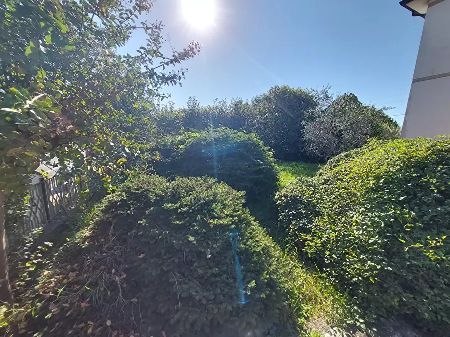 Immagine 48 di Casa bifamiliare in vendita  a Buti