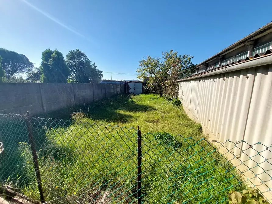 Immagine 50 di Casa bifamiliare in vendita  a Buti