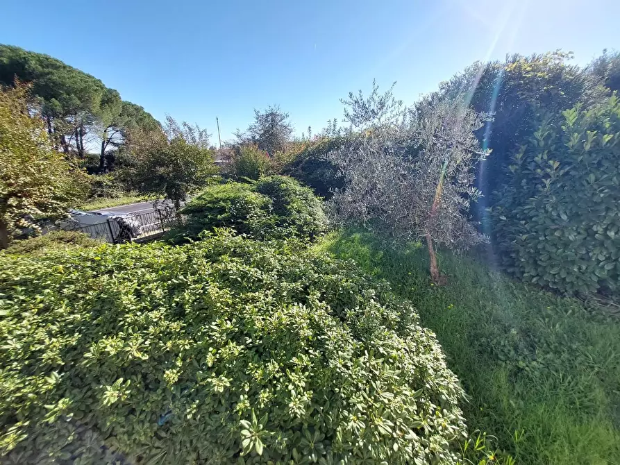 Immagine 45 di Casa bifamiliare in vendita  a Buti