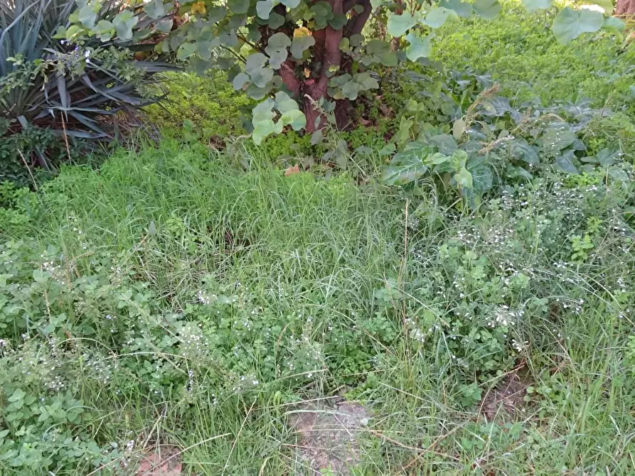 Immagine 6 di Villa in vendita  a Cascina