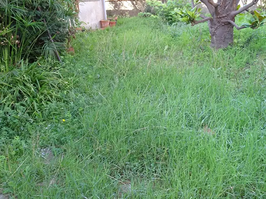 Immagine 5 di Villa in vendita  a Cascina