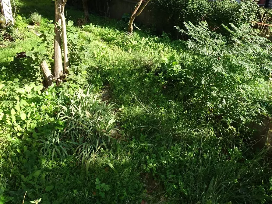 Immagine 11 di Villa in vendita  a Cascina