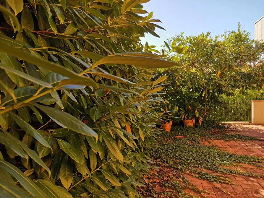 Immagine 3 di Casa trifamiliare in vendita  a Poggibonsi