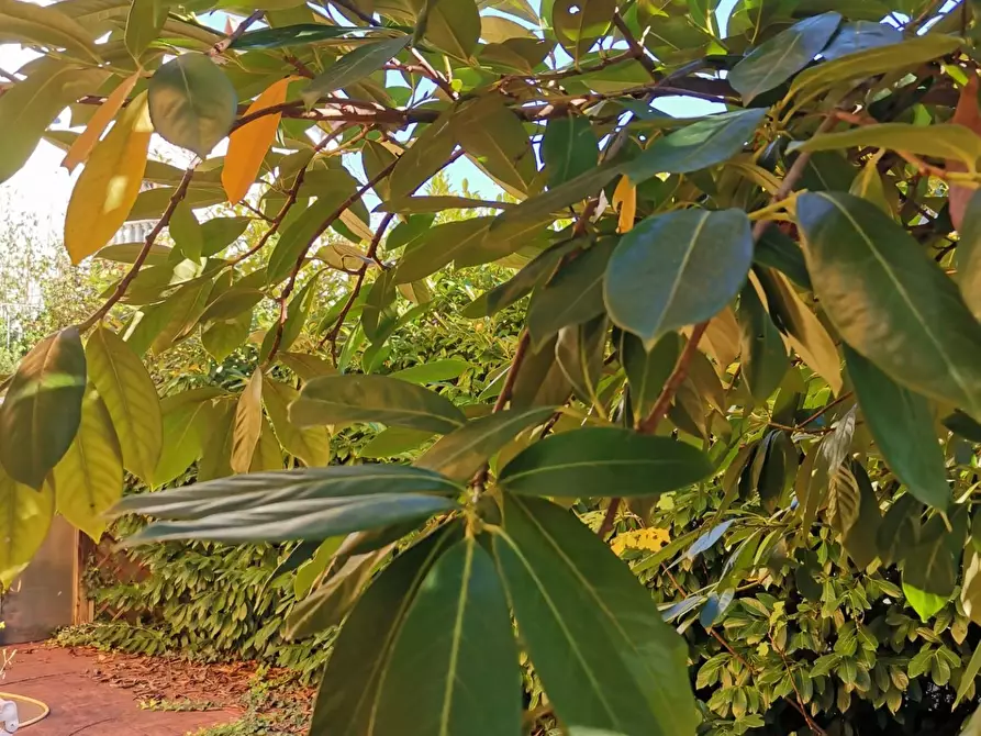 Immagine 13 di Casa trifamiliare in vendita  a Poggibonsi