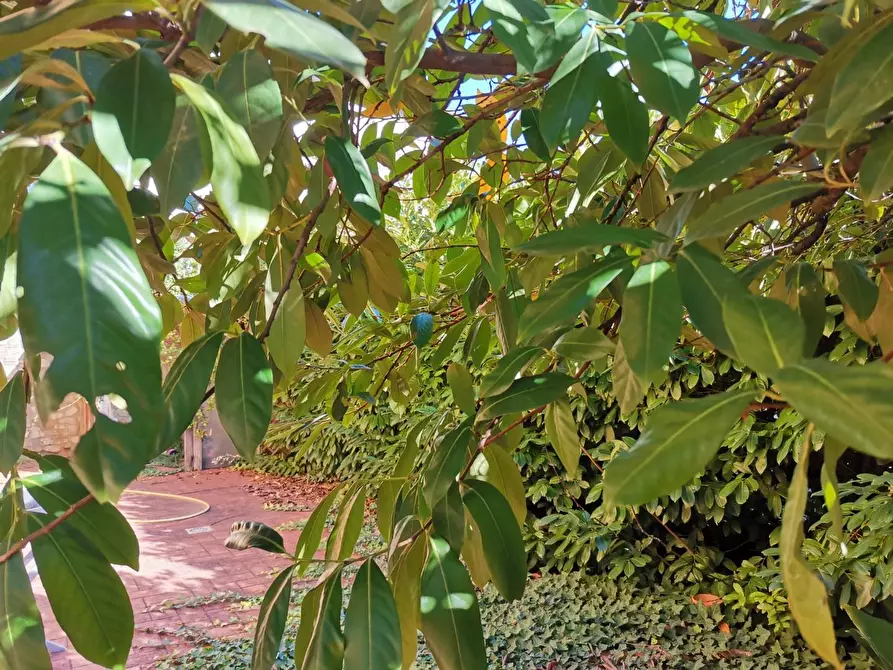 Immagine 12 di Casa trifamiliare in vendita  a Poggibonsi