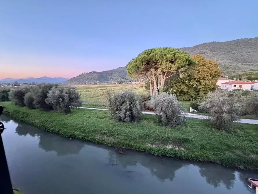 Immagine 33 di Terratetto in vendita  a San Giuliano Terme