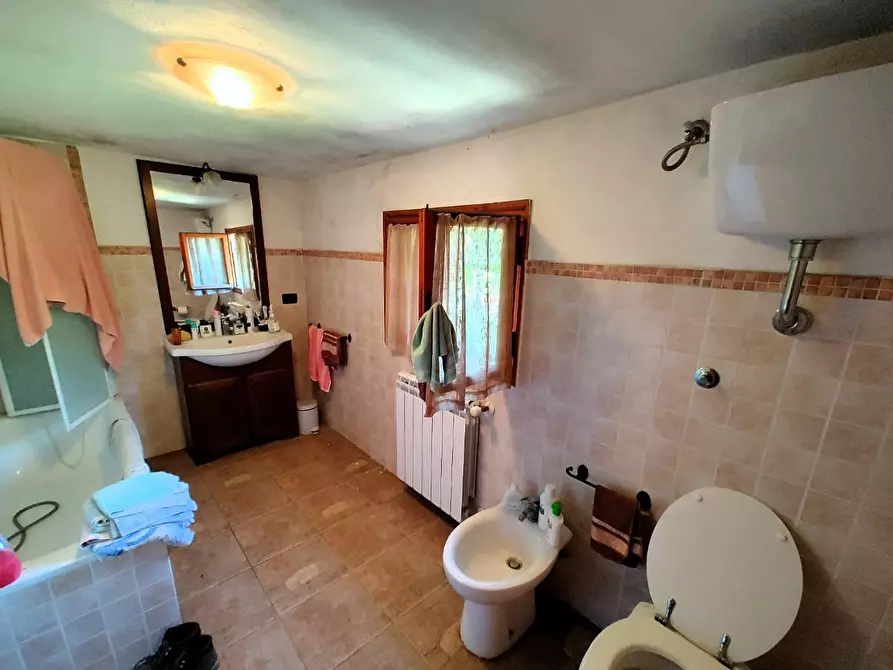 Immagine 10 di Casa indipendente in vendita  a Crespina Lorenzana