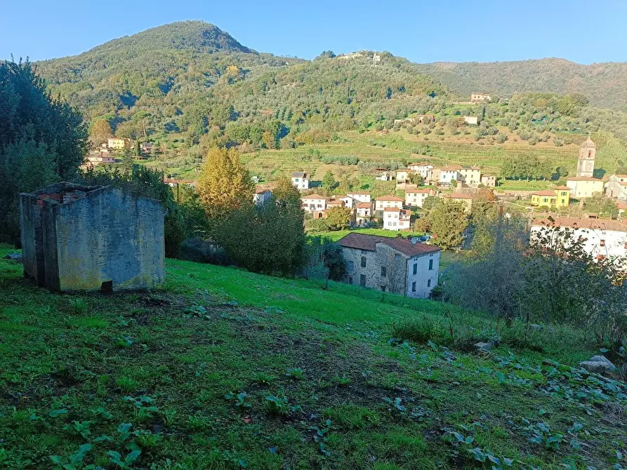Immagine 10 di Terratetto in vendita  a Borgo A Mozzano