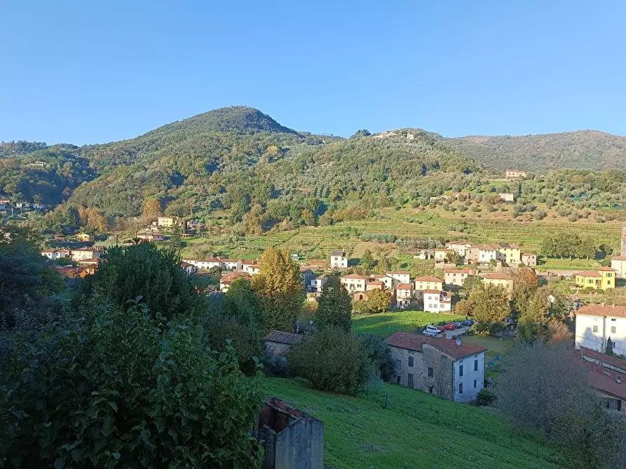 Immagine 9 di Terratetto in vendita  a Borgo A Mozzano