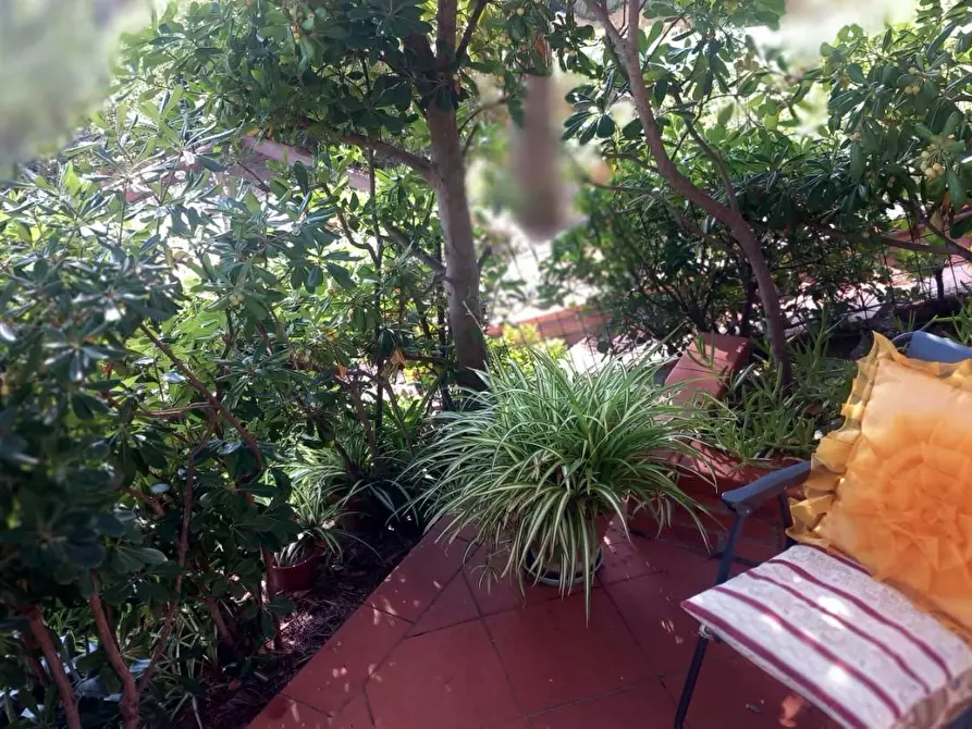 Immagine 48 di Appartamento in vendita  a Rosignano Marittimo