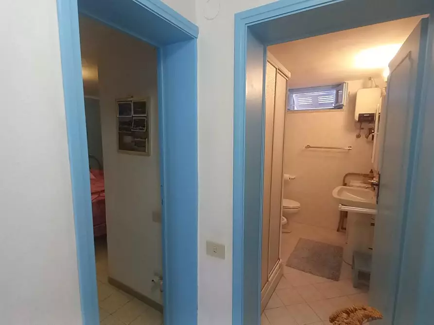 Immagine 25 di Appartamento in vendita  a Rosignano Marittimo