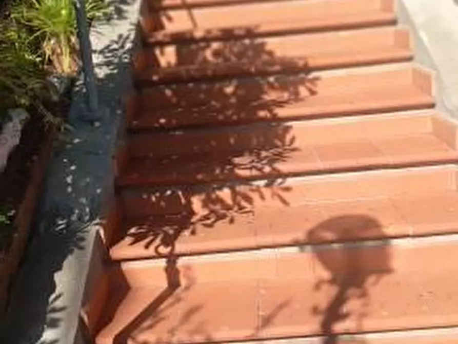 Immagine 46 di Appartamento in vendita  a Rosignano Marittimo