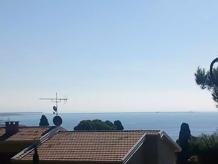 Immagine 43 di Appartamento in vendita  a Rosignano Marittimo