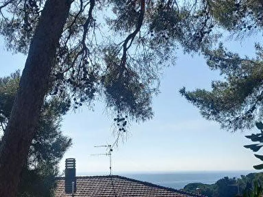 Immagine 49 di Appartamento in vendita  a Rosignano Marittimo