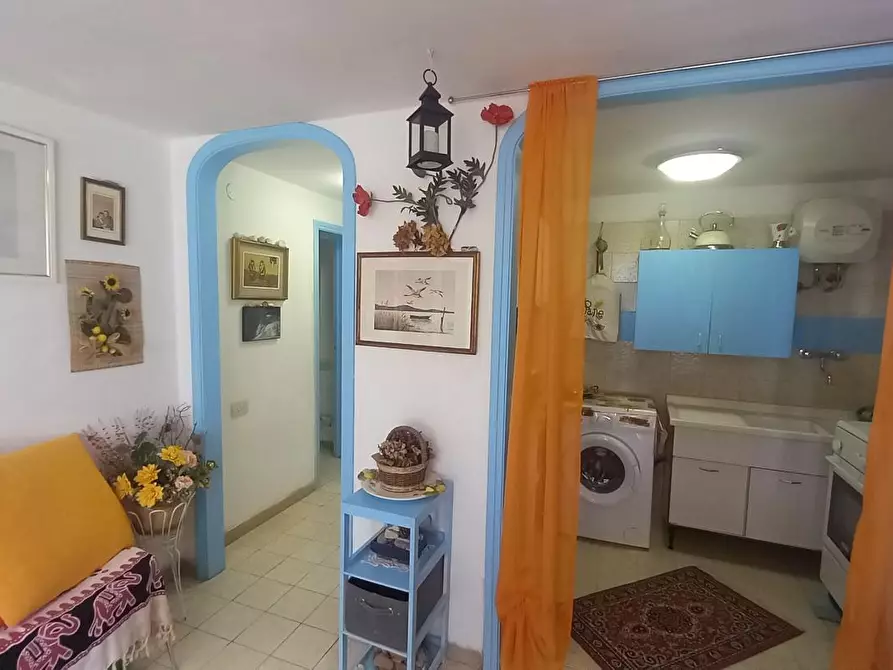 Immagine 16 di Appartamento in vendita  a Rosignano Marittimo