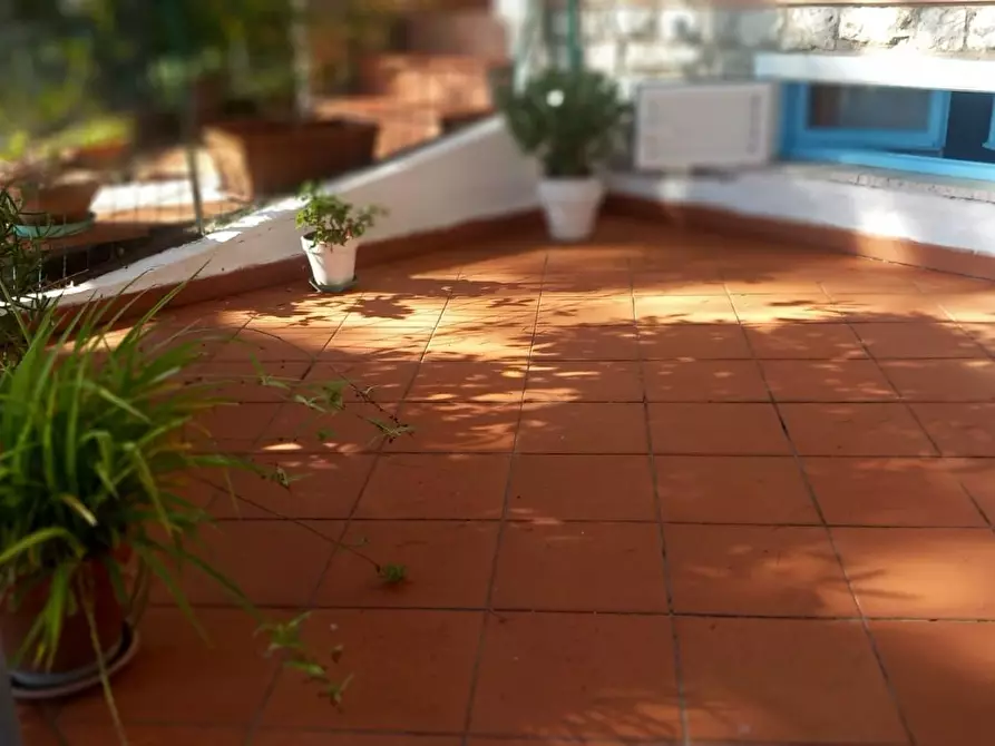 Immagine 47 di Appartamento in vendita  a Rosignano Marittimo