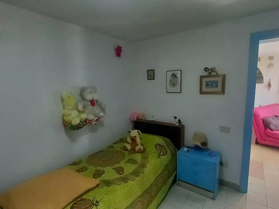 Immagine 24 di Appartamento in vendita  a Rosignano Marittimo