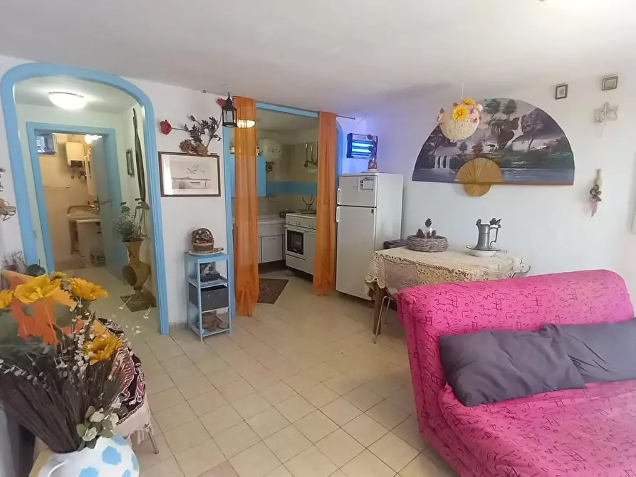 Immagine 17 di Appartamento in vendita  a Rosignano Marittimo